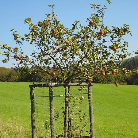 Bed & Breakfast Hoerschhausen *
