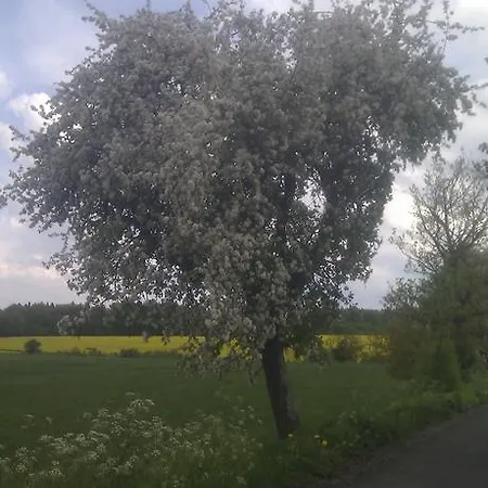 Bed & Breakfast Hoerschhausen *